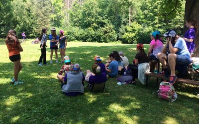 The Park and Beyond!