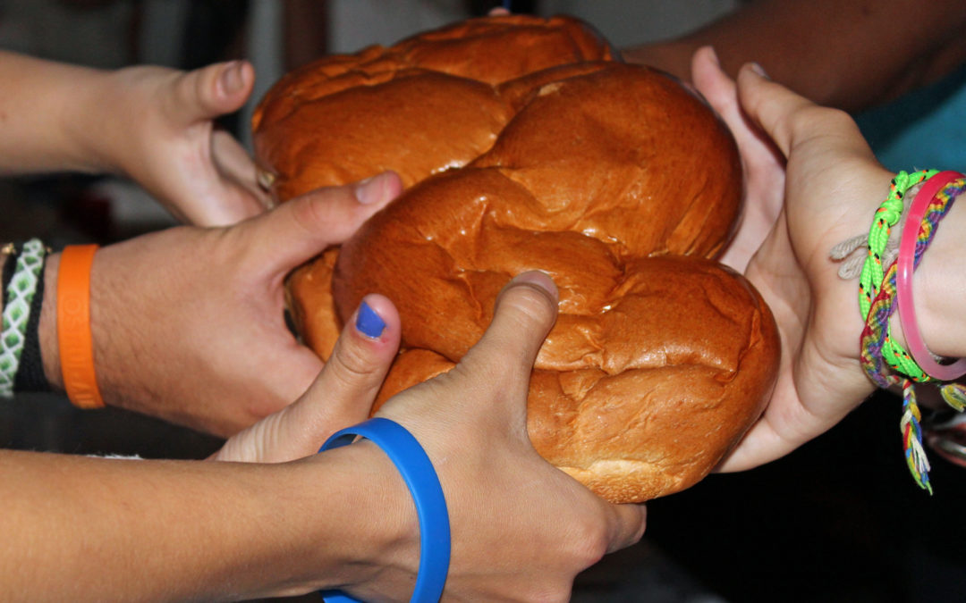 Shabbat Shalom from OSRUI!