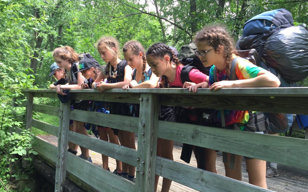 Judaism Comes Alive in the Wilderness