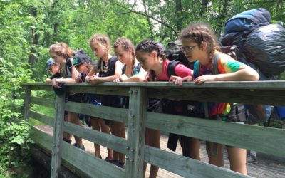 Judaism Comes Alive in the Wilderness