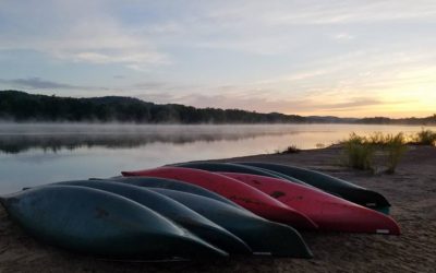 Where Do You Call Home?