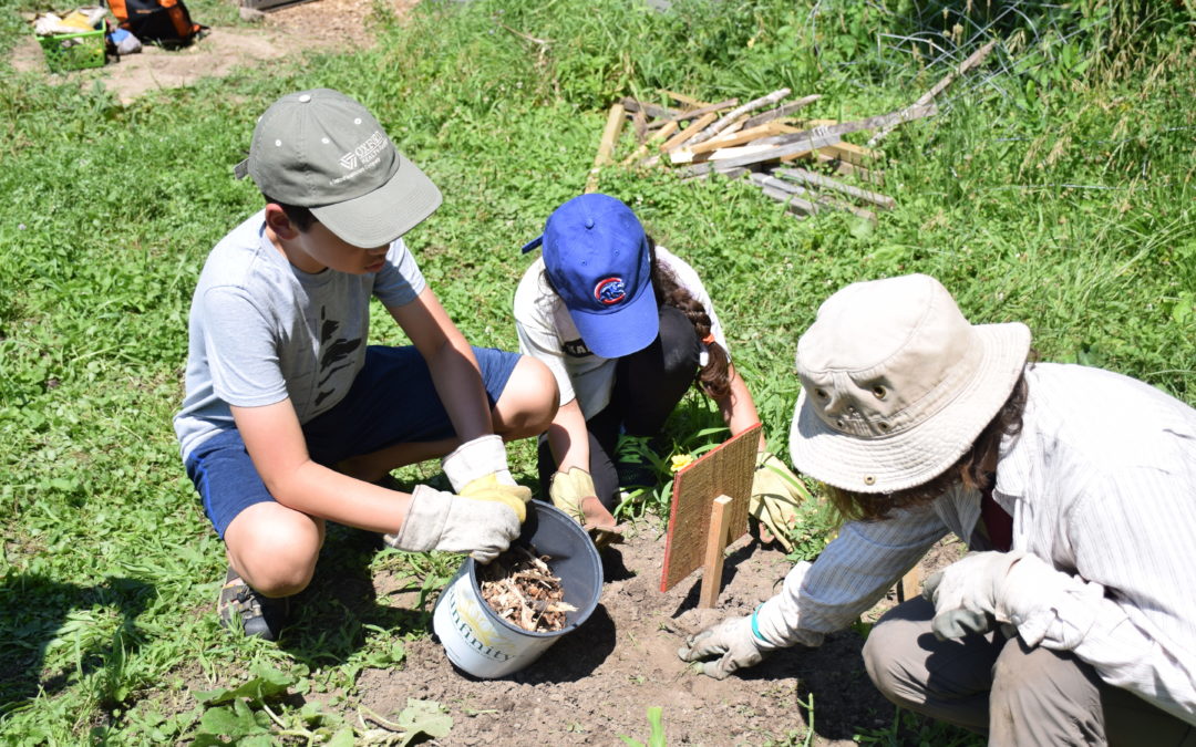 Erev Ohel in Tzofim!