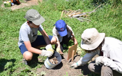 Erev Ohel in Tzofim!