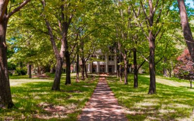 Transitioning to Our New Normal