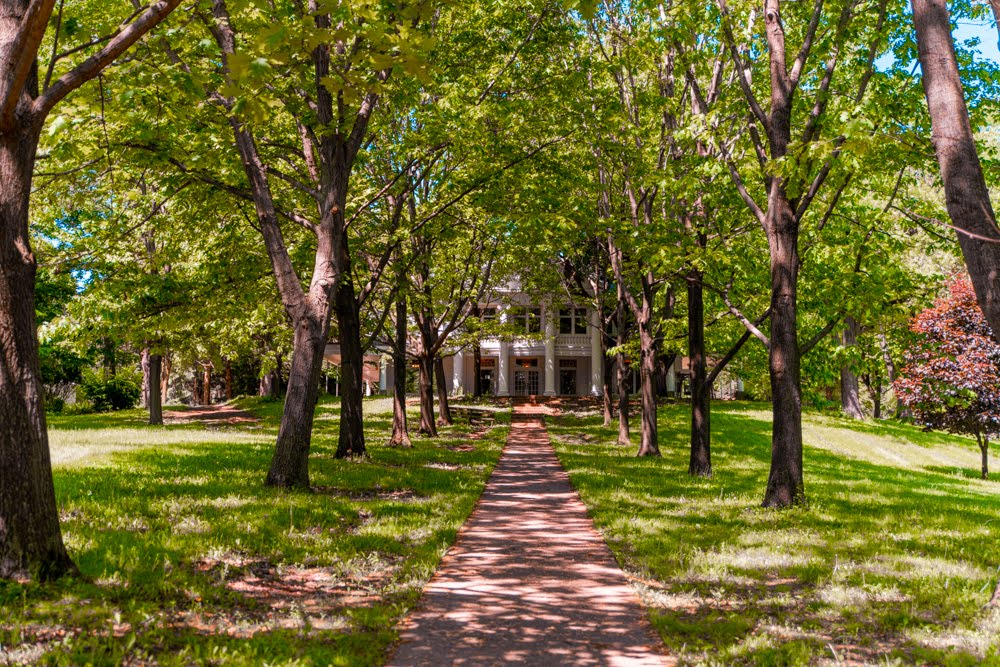 Transitioning to Our New Normal