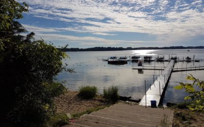 Keeping Our Online Community Safe